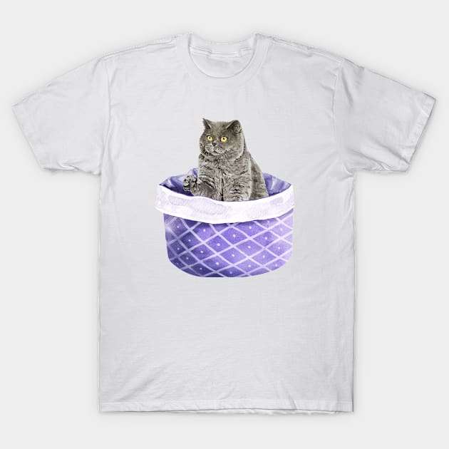 Funny Watercolor British Shorthair Cat Inside His Bed T-Shirt by labatchino